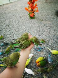 -萌宠亲子动物乐园(槐房万达店)