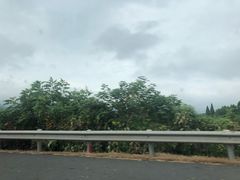 -杭州双溪漂流景区