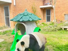 -苏州太湖国家湿地公园