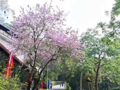 -火炉山森林公园