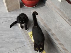-刘家大院餐厅