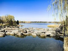 -溱湖国家湿地公园