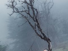 -硗碛藏寨·神木垒景区