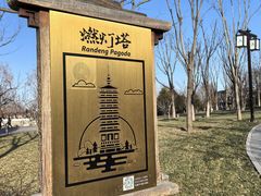 -西海子公园