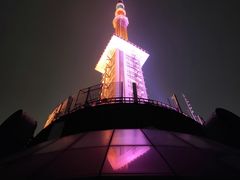 -339旋转餐厅(天府熊猫塔店)