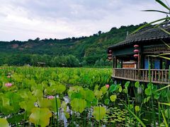 -渭南桃花源民俗文化园