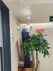 -木北造型