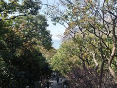 -青岛崂山太清宫