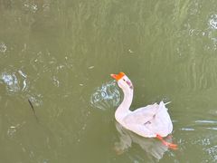 -蓝地时尚庄园(北京清河营地铁站店)