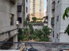 -佛山市祖庙博物馆