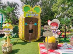 -苏州乐园森林水世界