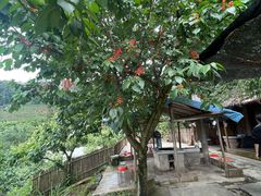 -樱桃山旅游景区