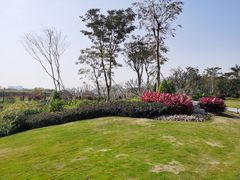 -光明小镇欢乐田园