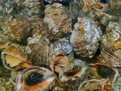 -南戴河海滨市场