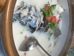 -全乐鱼馆·淳牌有机鱼直营店