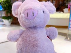 -远洋未来广场(育慧北路店)