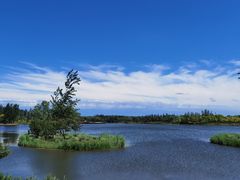 -东郊湿地公园