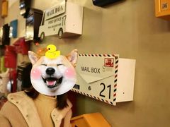 -大悦城(沈阳中街店)