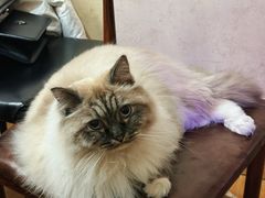 -剧狐剧本杀·月球探案馆(人民广场1号店)