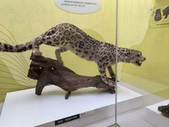 -国家自然博物馆