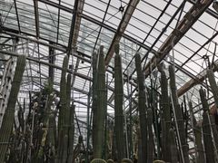 -南山植物园