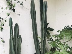 -云里小坐·小院里·团建·宴请·下午茶(三圣乡店)