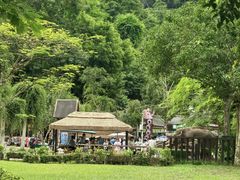 -野象谷景区