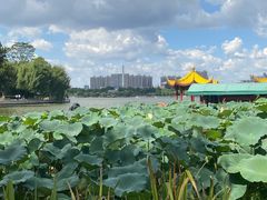 -济南大明湖景区