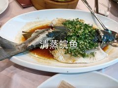 -东方御宴海鲜酒楼(棕泉酒店)