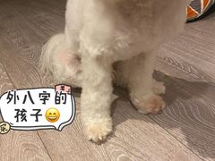 -槿Story·韩国料理(望京韩国美食城店)