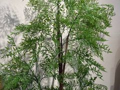 -FreshCo鲜途·西厨(大良店)