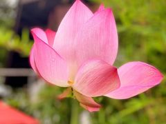 -偏岩古镇