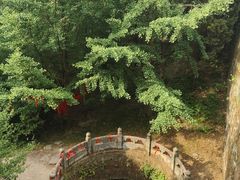 -武当山风景区