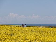 -青海湖国家重点风景名胜区
