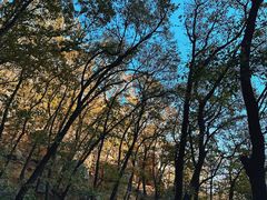 -天津盘山风景名胜区