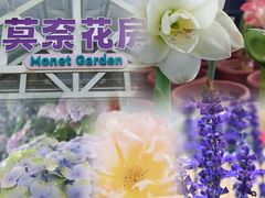 -盈香心动乐园