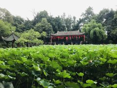 -房湖公园
