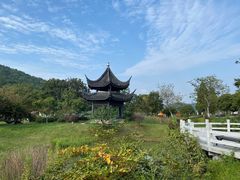 -龙寺生态园