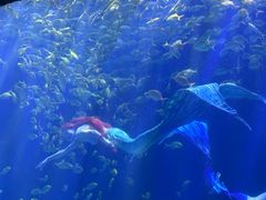 -华夏文旅海洋公园