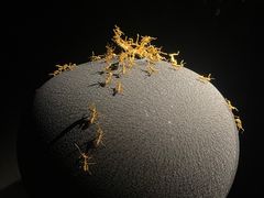 -深圳珠宝博物馆