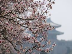 -南京雨花台风景区