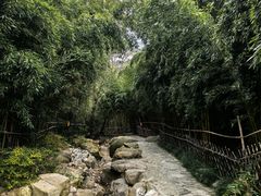 -竹子庵公园