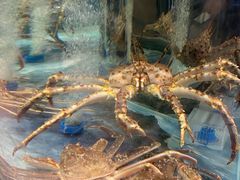 -海底捞大排档火锅(打浦路店)