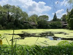 -西溪国家湿地公园