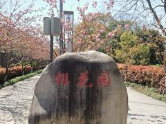 -高东镇樱花园