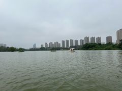 -洋湖国家湿地公园