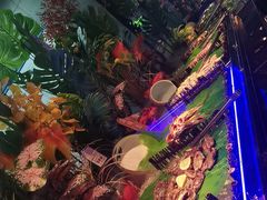 -冠菌火锅烤肉自助(东莞樟木头店)