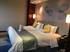 -常州环球恐龙城维景国际大酒店