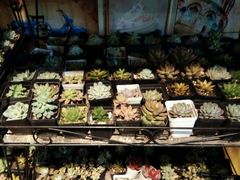 -密讯馆密室逃脱&换装侦探剧(环球港旗舰店)