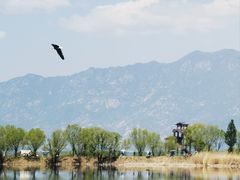 -野鸭湖国家湿地公园